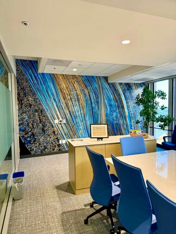 Commercial wallpaper hanging in office